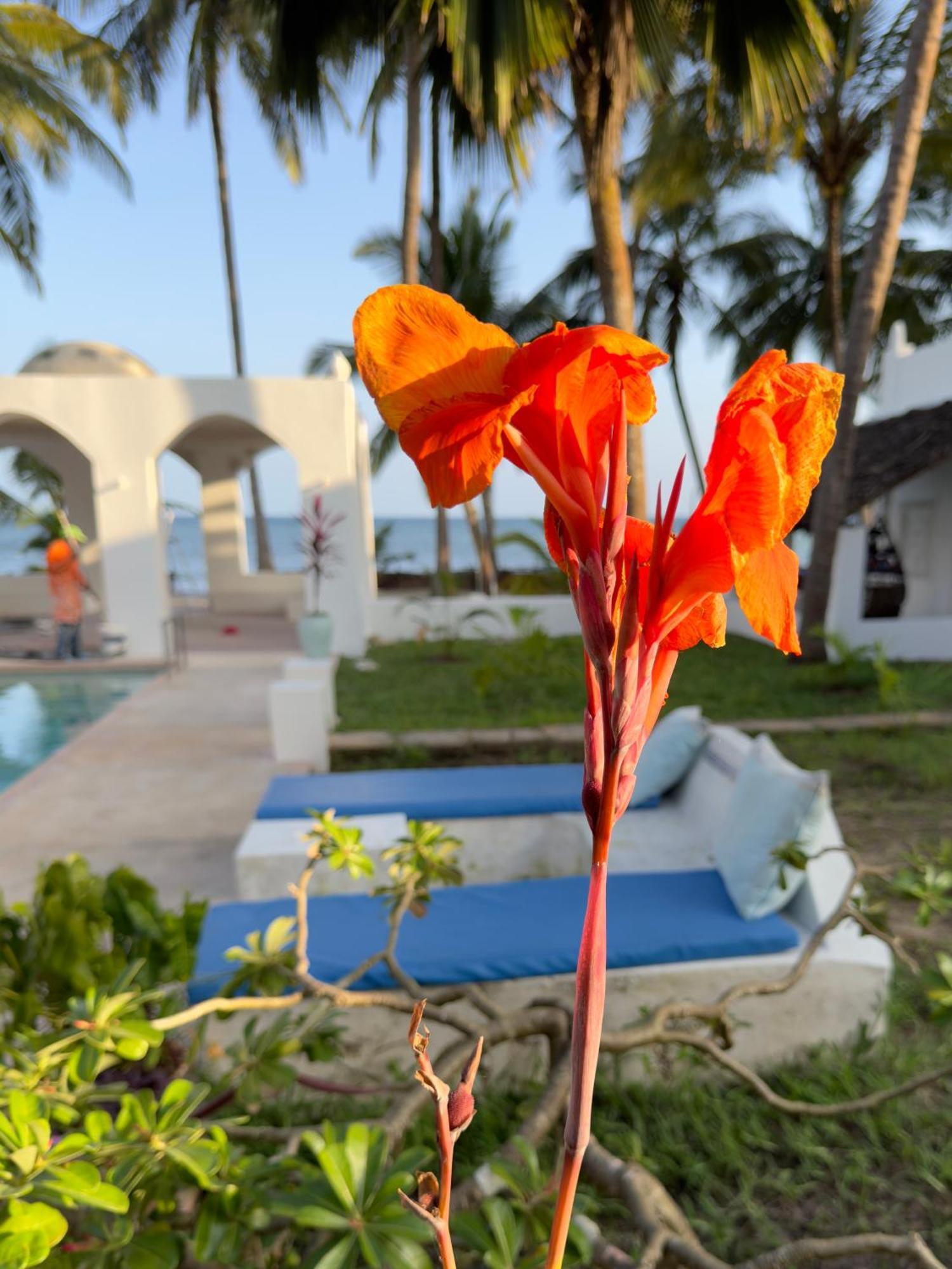 Sawa Sawa Beach House Msambweni Экстерьер фото