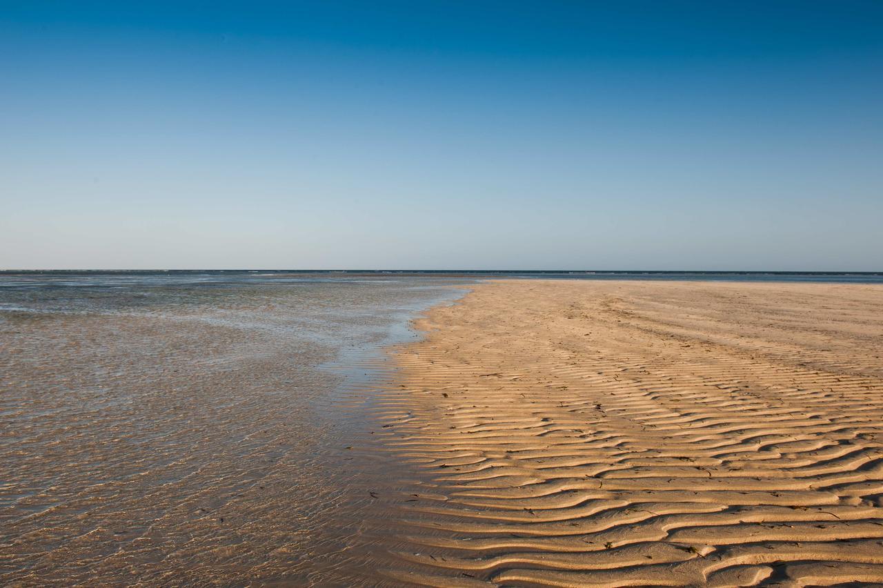 Sawa Sawa Beach House Msambweni Экстерьер фото